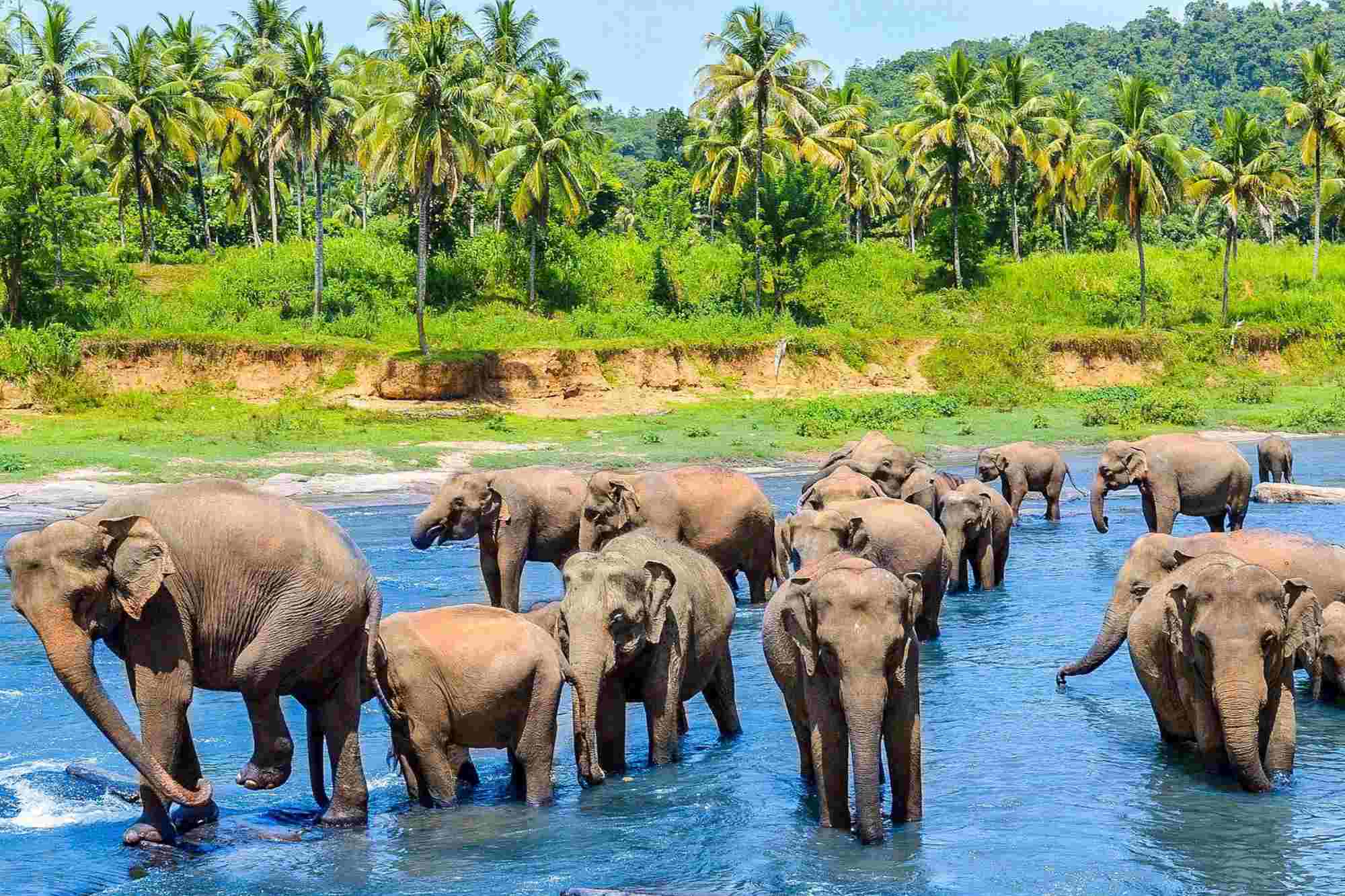 srilanka1